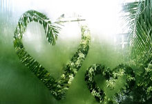 2024年9月23日今日松树皮价格最新行情消息