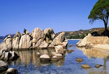 （2024年8月15日）今日天然橡胶期货最新价格行情查询