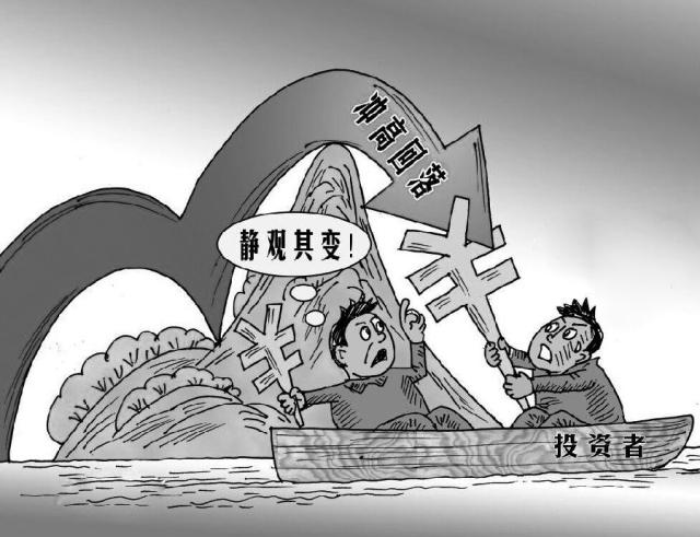 2024年9月23日今日松树皮价格最新行情消息
