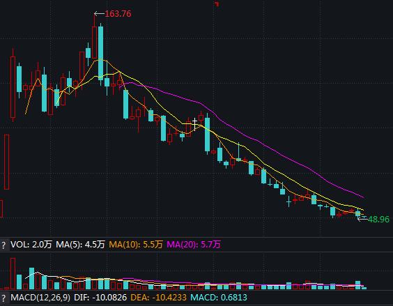 10月17日收盘花生期货资金流出4693.62万元