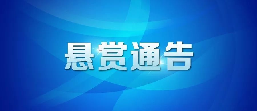 10月17日收盘玉米期货持仓较上日增持38952手