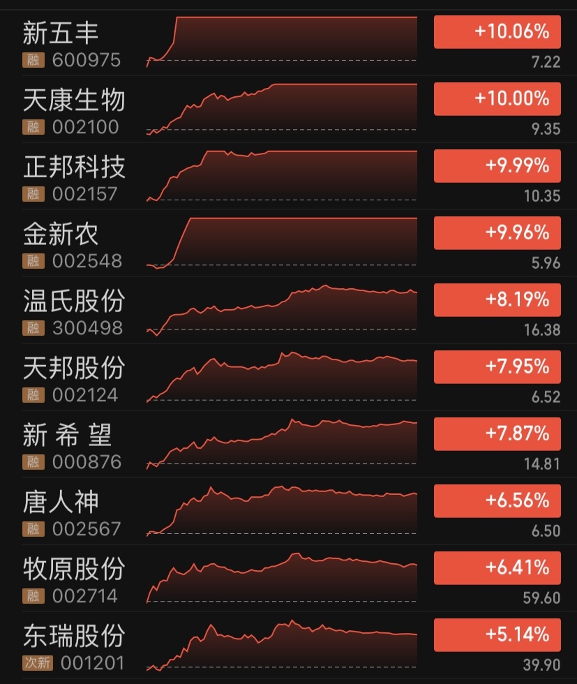 10月17日收盘生猪期货持仓较上日增持454手