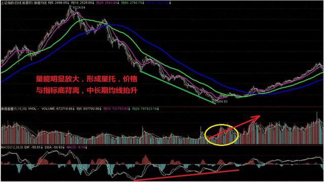 10月20日菜籽粕期货持仓龙虎榜分析：空方呈进场态势