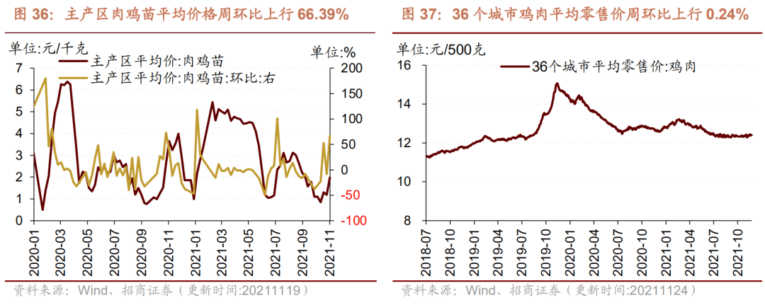 （2023年10月23日）今日玉米期货和美玉米最新价格查询