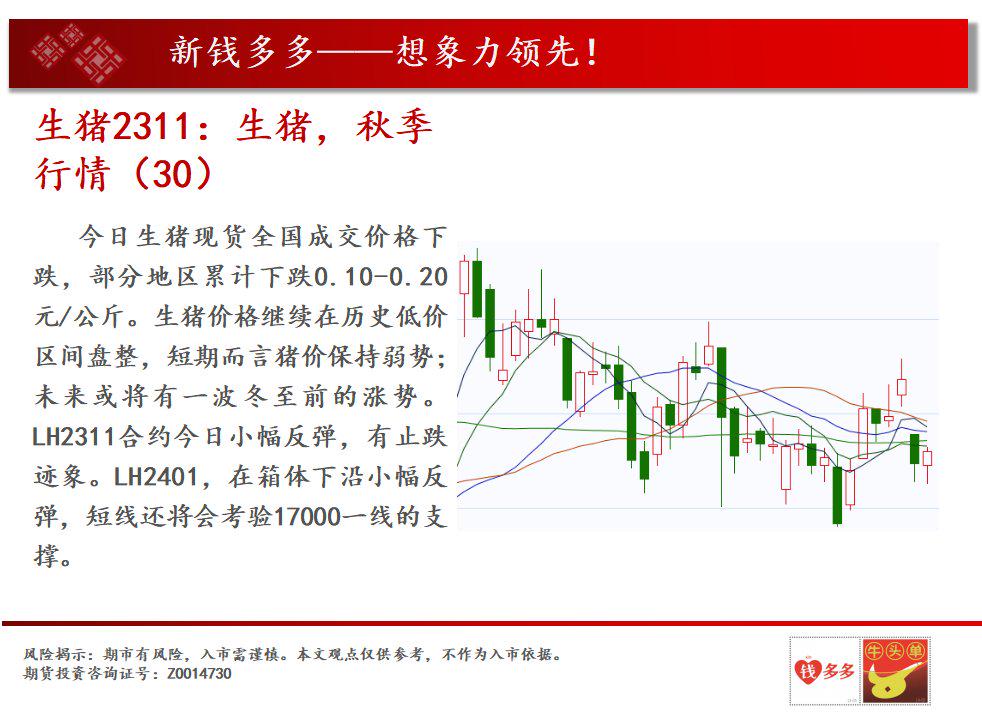 供应充裕下游成交清淡 短期棕榈油行情宽幅震荡