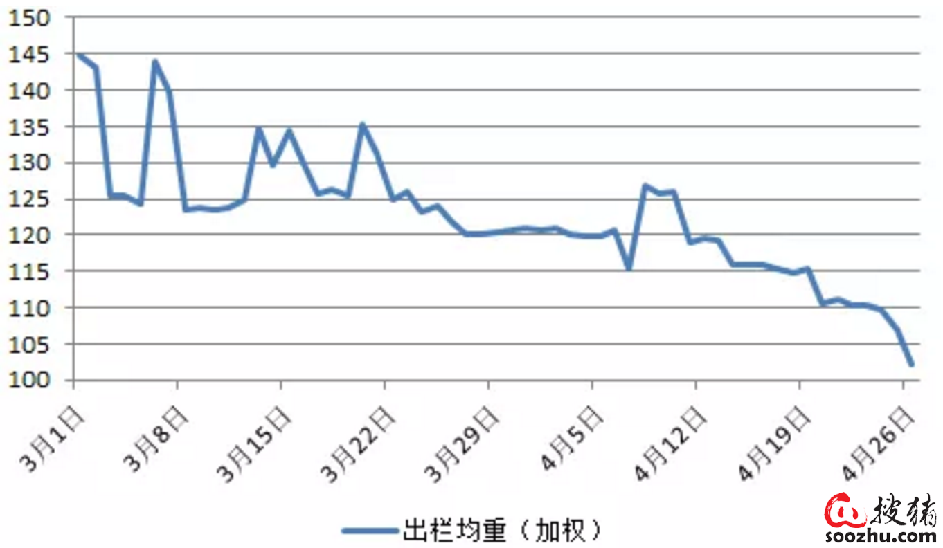 （2023年10月26日）今日生猪期货最新价格查询