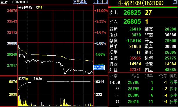 （2023年10月30日）今日生猪期货最新价格查询