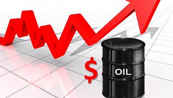 10月30日收盘红枣期货资金流入6138.36万元