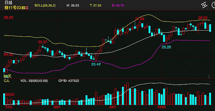 10月31日收盘生猪期货资金流出7768.59万元