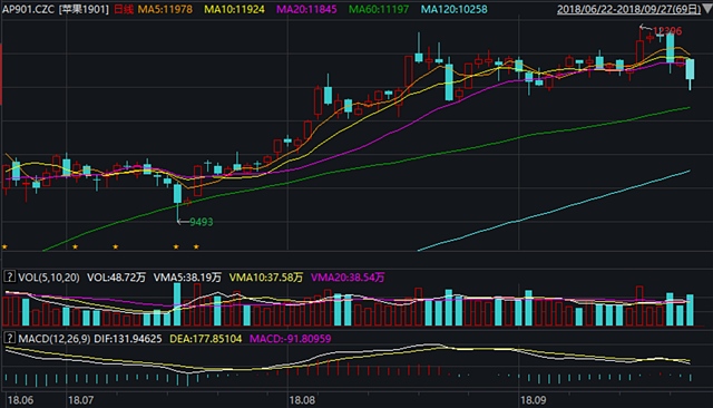 红枣期货10月31日主力小幅上涨0.19% 收报13290.0元