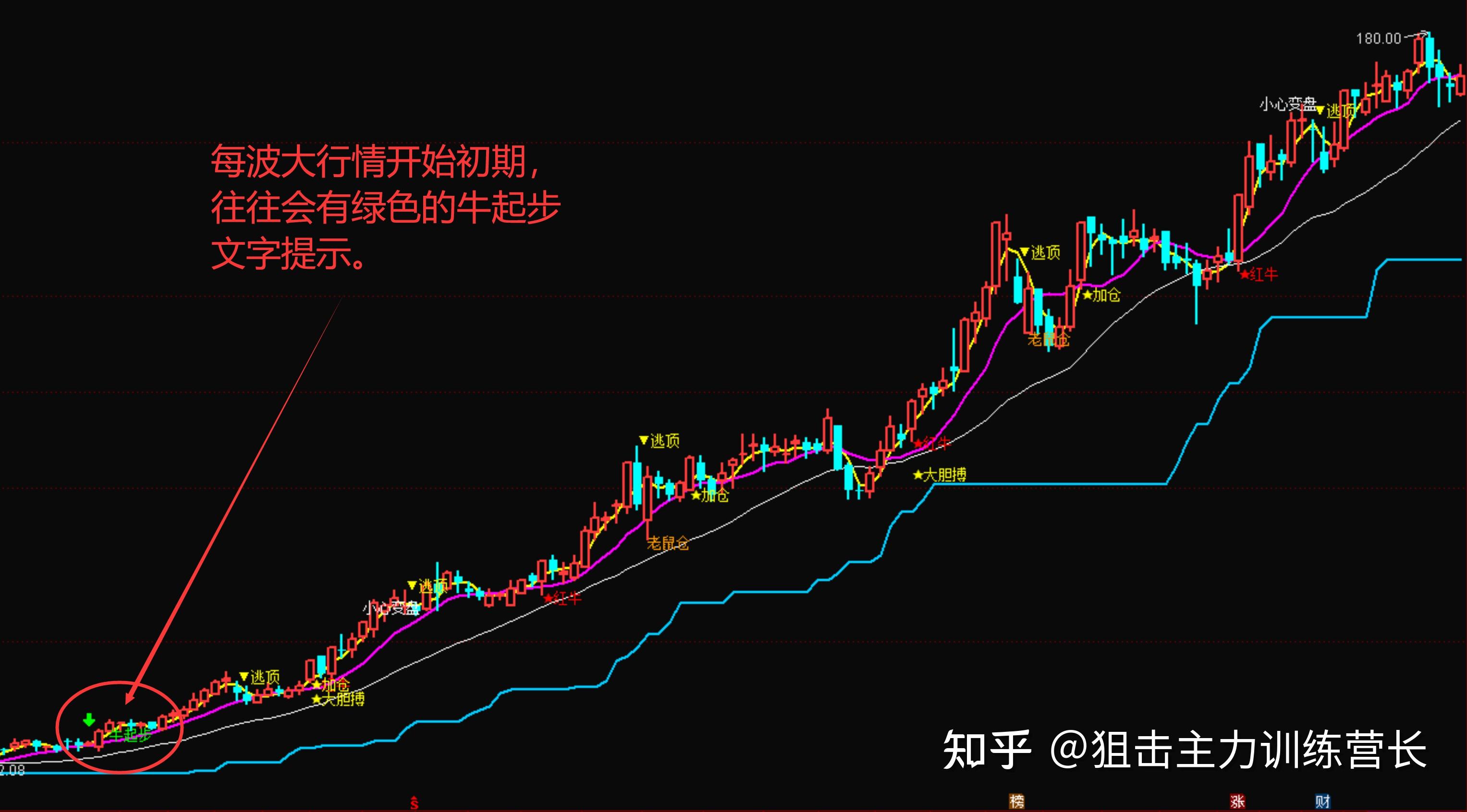 红枣期货11月1日主力小幅下跌1.02% 收报13130.0元