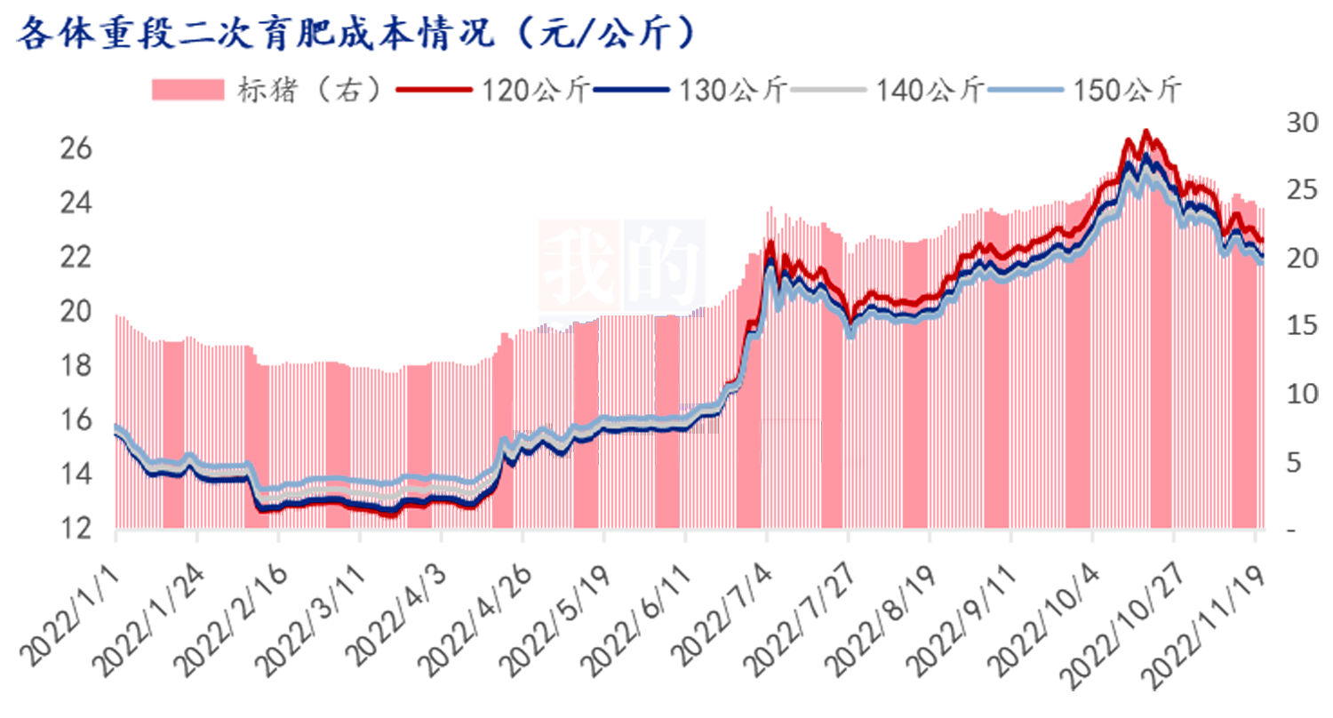 2023年11月2日今日现货生猪价格最新行情一览表