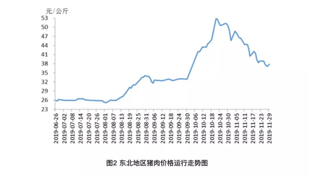 2023年11月3日今日现货生猪价格最新行情一览表