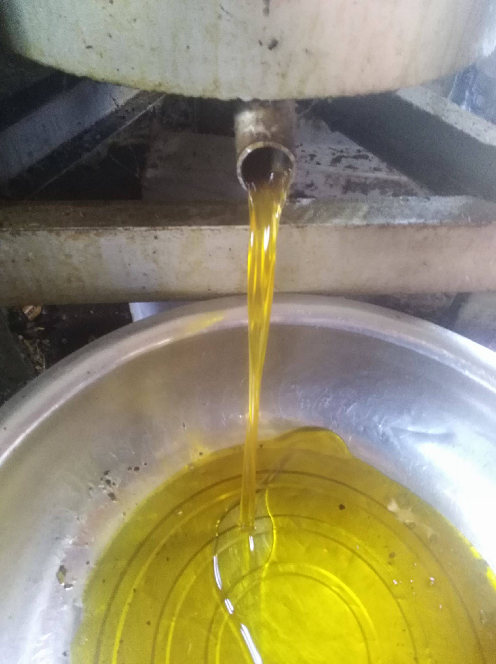 大豆油价格最新行情 油脂板块供需矛盾相对平淡