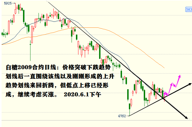 11月3日白糖期货持仓龙虎榜分析：多空双方均呈进场态势