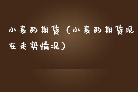 （2023年11月7日）今日小麦期货和美小麦价格行情查询