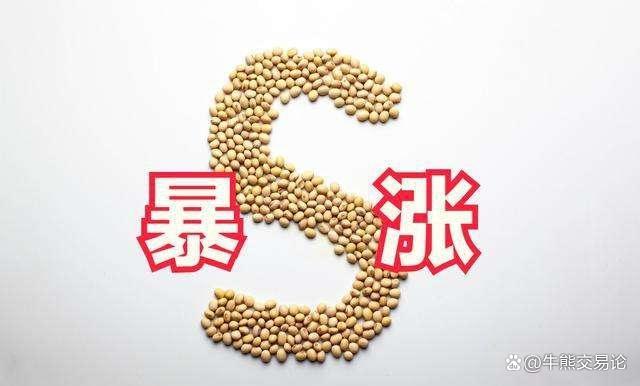 菜粕期货最新行情分析 近期表现抗跌
