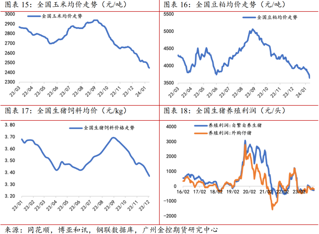 （2024年2月6日）今日生猪期货最新价格查询