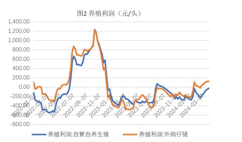 （2024年4月17日）今日玉米期货和美玉米最新价格查询