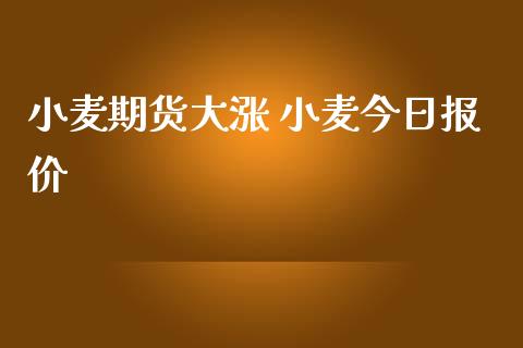 （2024年6月20日）今日小麦期货和美小麦价格行情查询