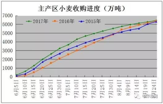 （2024年6月20日）今日小麦期货和美小麦价格行情查询