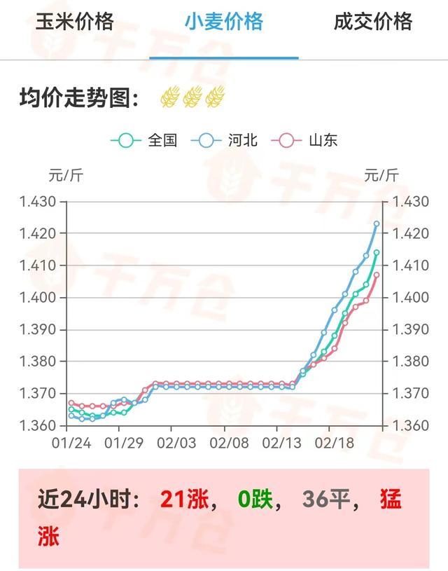 （2024年8月1日）今日铁矿石期货最新价格行情查询