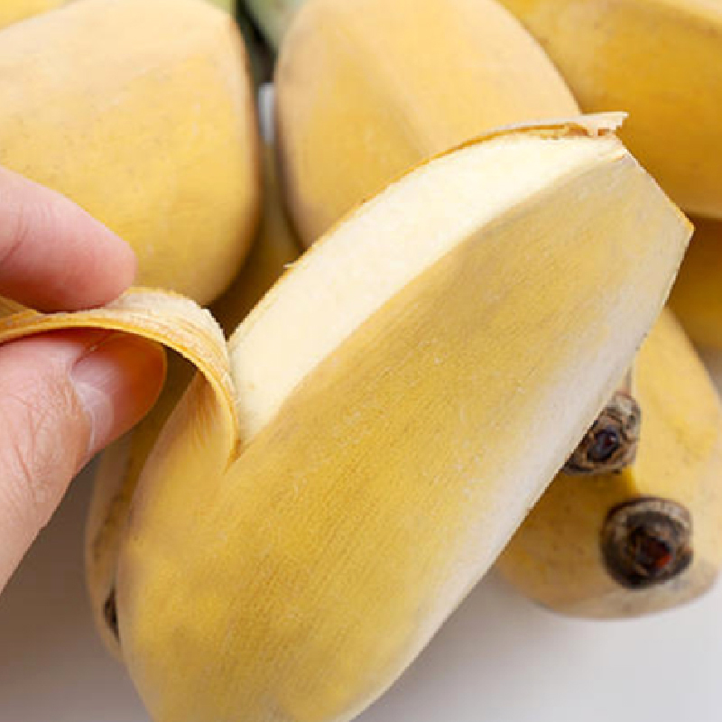 时令水果供应增加 苹果短期价格或趋于震荡