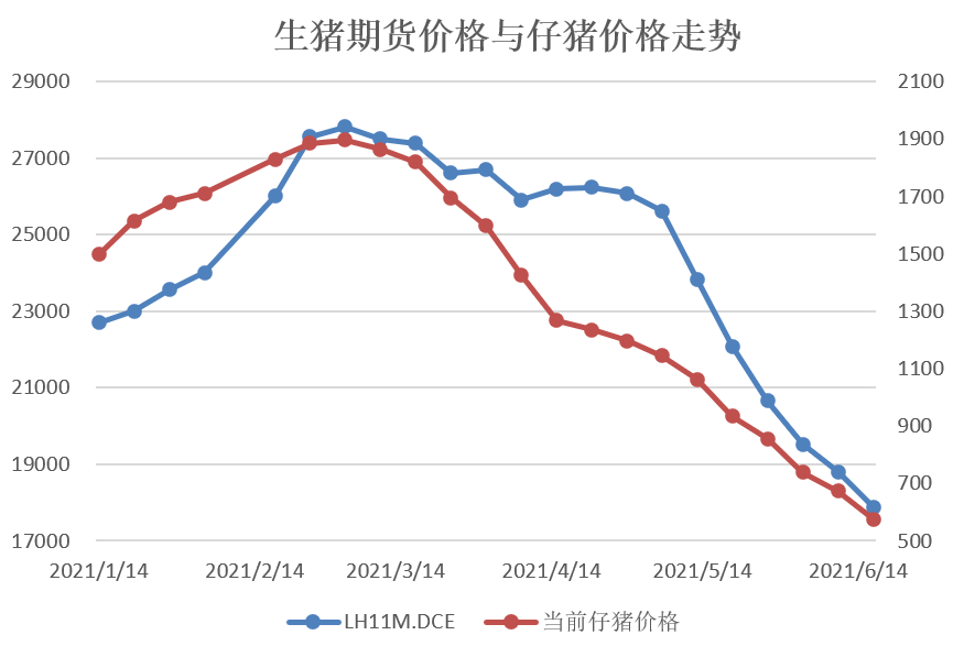 (2024年8月2日)今日生猪期货最新价格查询