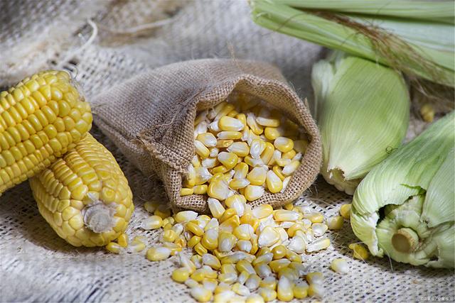 8月2日玉米淀粉期货持仓龙虎榜分析:玉米淀粉期货后市或将延续震荡调整态势