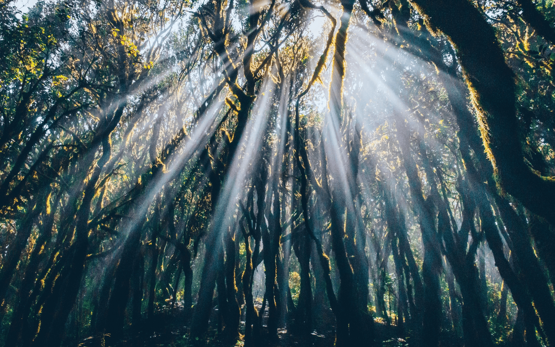 2024年8月4日溶剂油价格行情今日报价查询