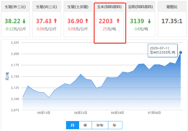 8月5日收盘玉米期货持仓较上日增持19368手