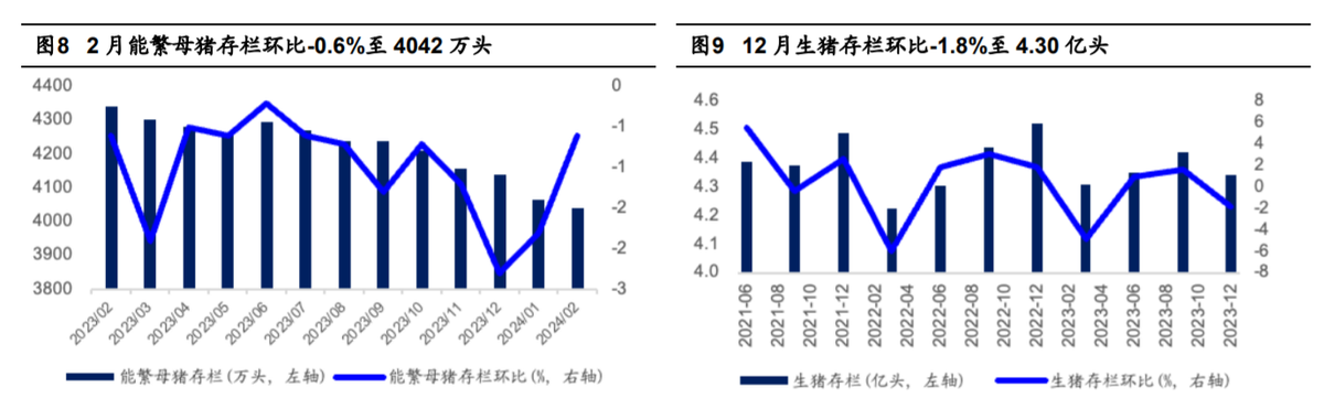 （2024年8月7日）今日生猪期货最新价格查询