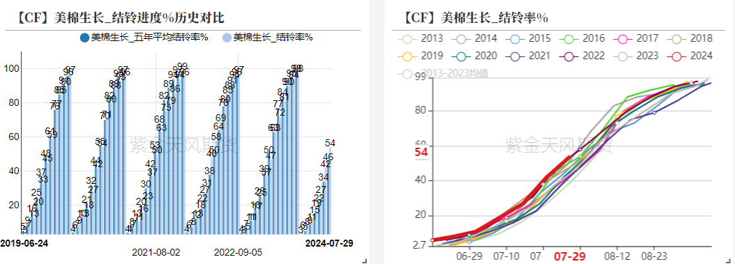 （2024年8月7日）今日棉花期货价格最新价格查询