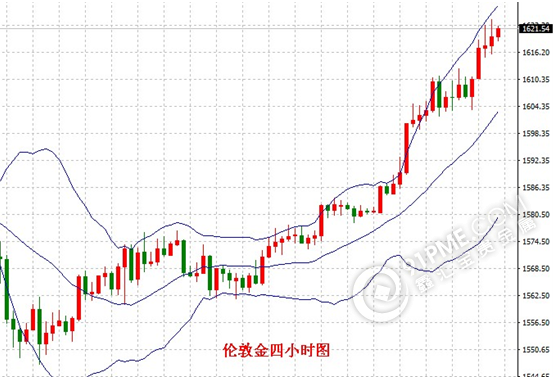 鸡蛋近月09合约受现货提振 市场看涨情绪升温