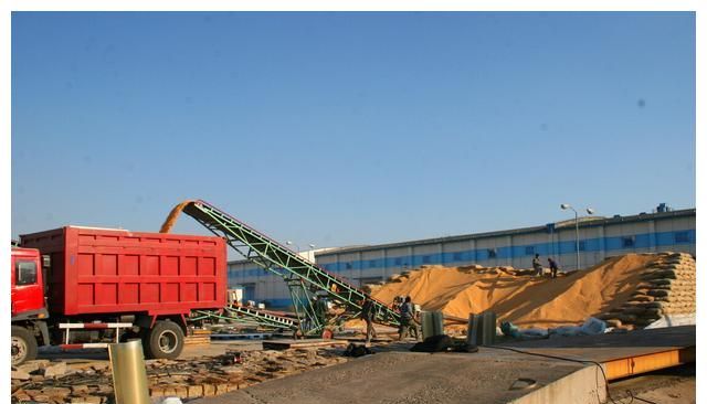 深加工企业进入季节检修 玉米多维持滚动补库