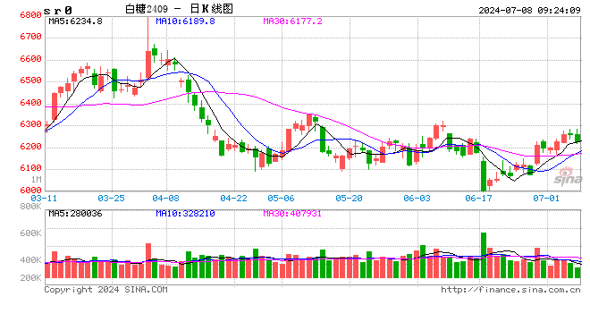 (2024年8月12日)今日棉花期货价格最新价格查询