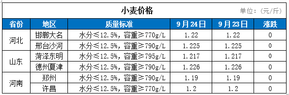 （2024年8月13日）今日小麦期货和美小麦价格行情查询