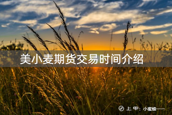 （2024年8月13日）今日小麦期货和美小麦价格行情查询