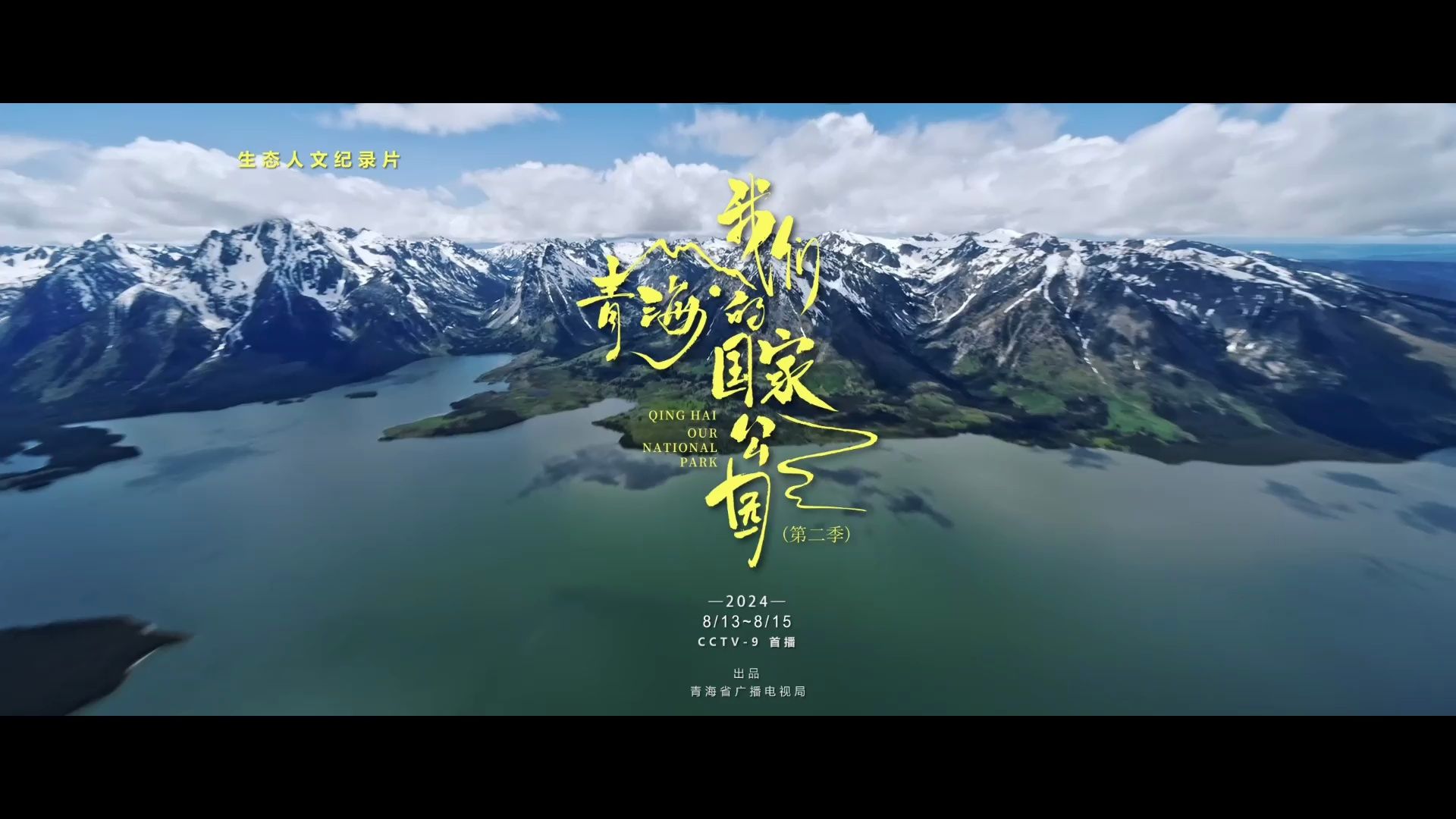 2024年8月13日松树皮价格行情最新价格查询