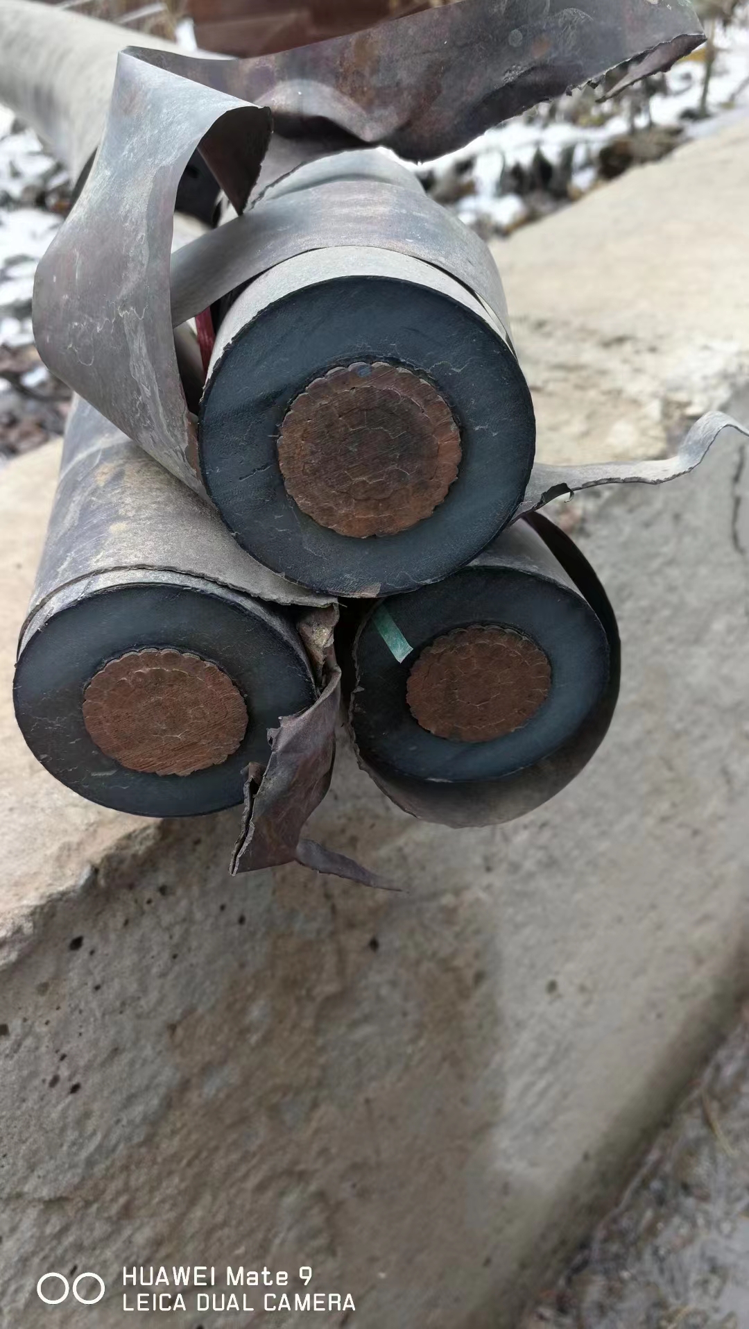 2024年8月13日今日无烟煤最新价格查询