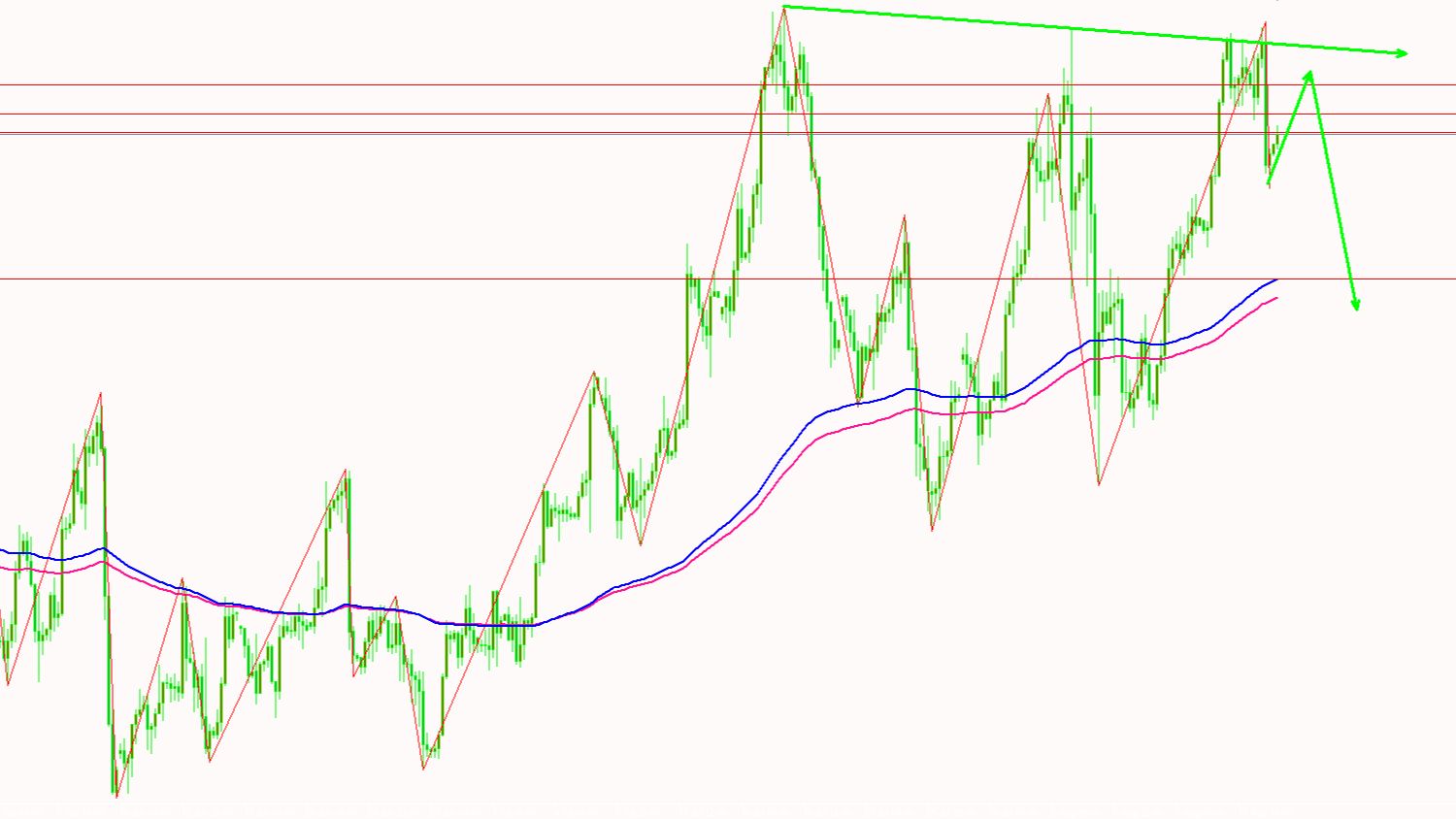 2024年8月15日今日松树皮价格最新行情走势