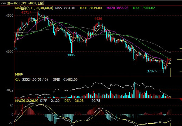 中加贸易关系紧张 内盘豆粕下行受阻