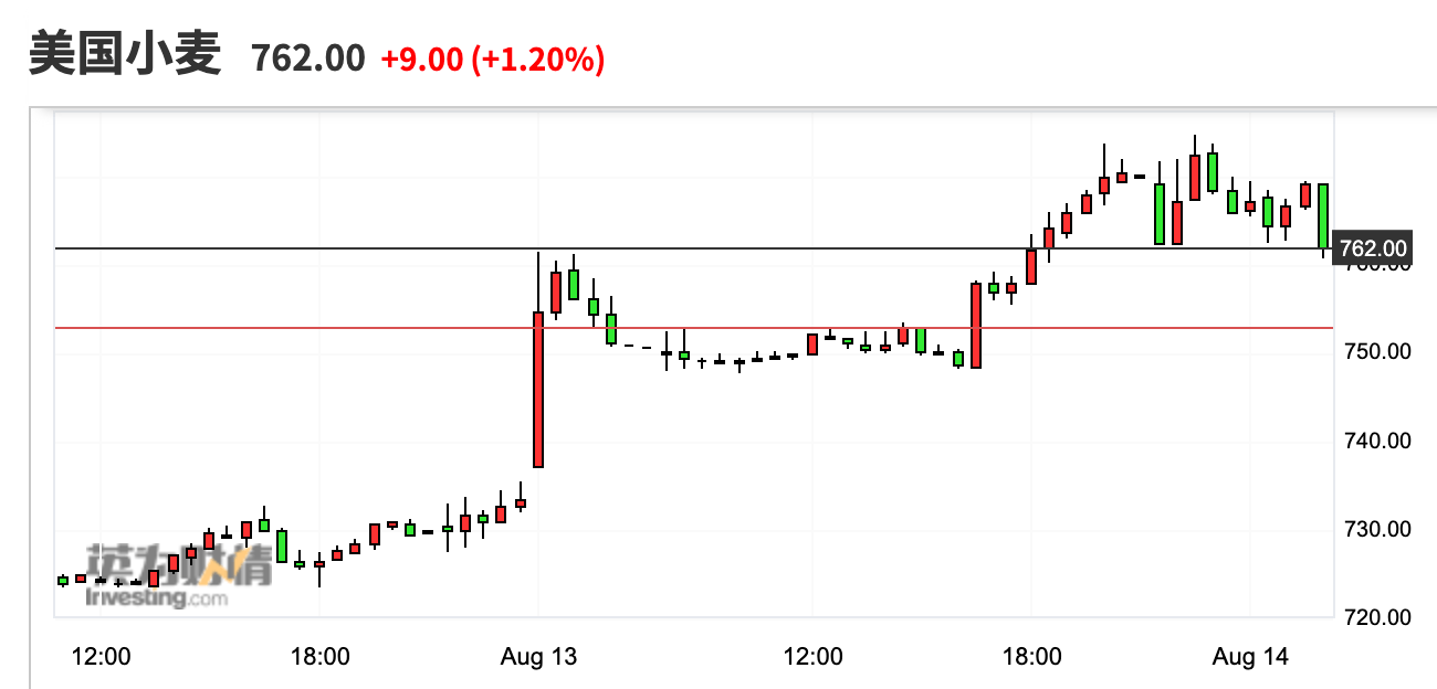 (2024年9月6日)今日小麦期货和美小麦价格行情查询