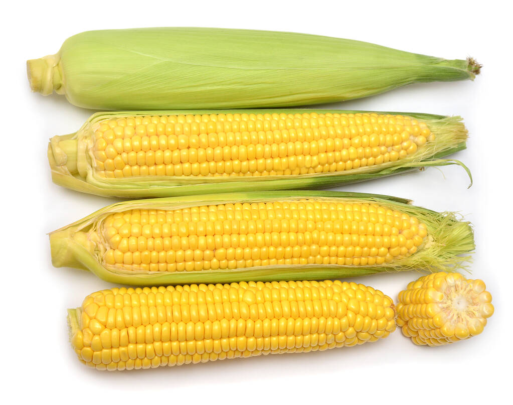 玉米期货9月6日主力小幅下跌0.92% 收报2268.0元