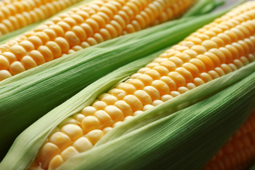 玉米期货9月6日主力小幅下跌0.92% 收报2268.0元