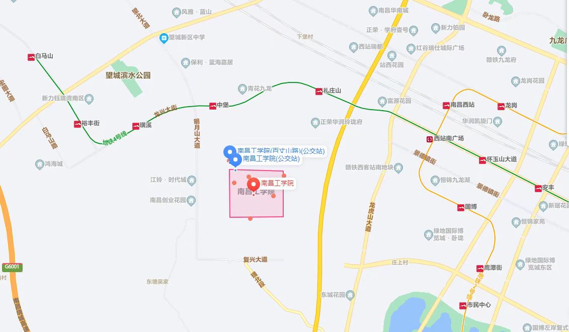 2024年9月8日松树皮价格行情今日报价查询