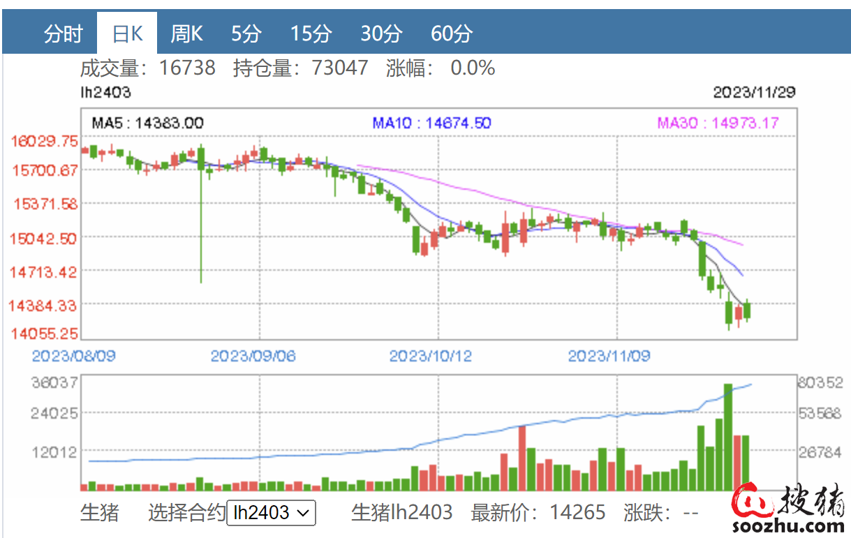 （2024年9月9日）今日生猪期货最新价格查询