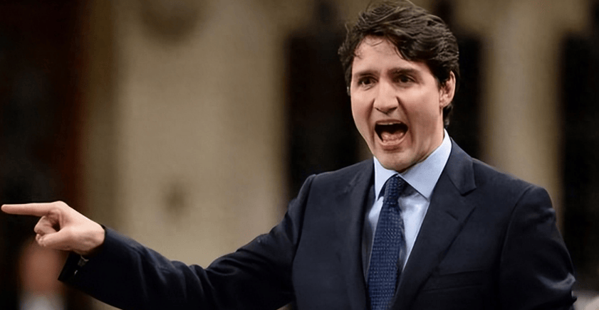 中国对加菜籽进行反倾销调查 主力合约跌幅超3%