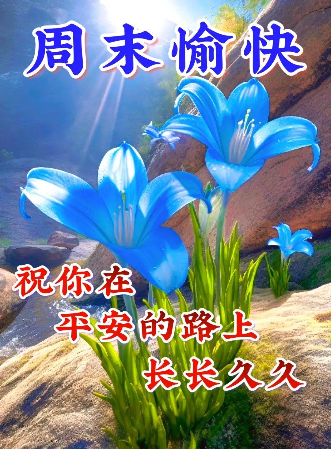 2024年9月9日今日石油醚价格最新行情消息