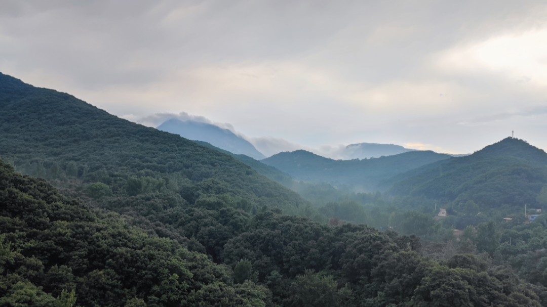 9月9日收盘橡胶期货资金流入4.15亿元